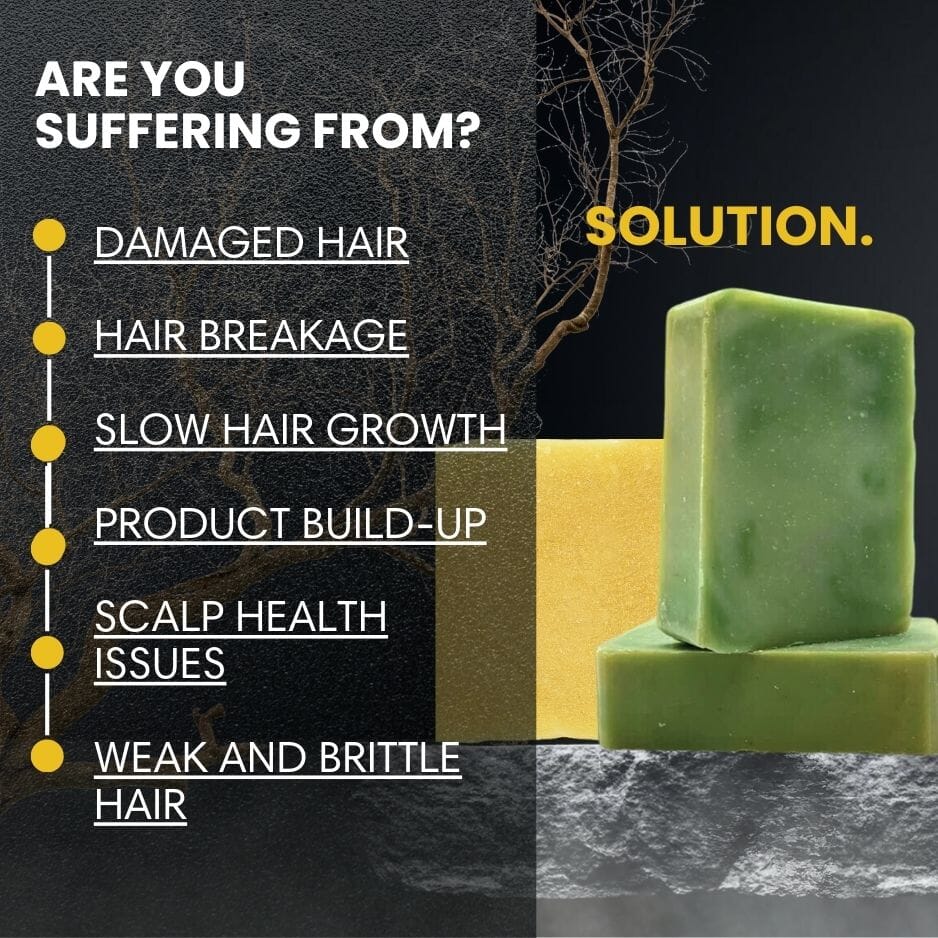 Shampoo Bar